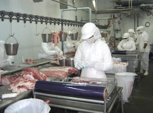 Carne lidera exportações em Alta Floresta