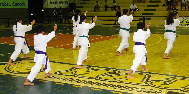 Karatê altaflorestense conquista 20 medalhas no brasileiro em Sergipe
