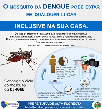 Dengue 2015 02 (5)