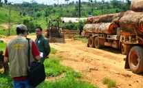 Fiscalização detecta 7 mil hectares de desmatamentos ilegais