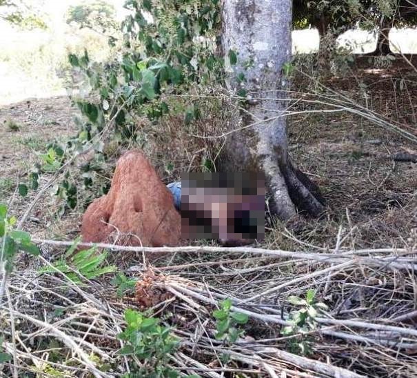 Corpo encontrado na comunidade Céu Azul ainda não foi identificado
