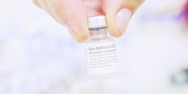 34 prefeituras de MT afirmam ter capacidade para armazenar vacina da Pfizer