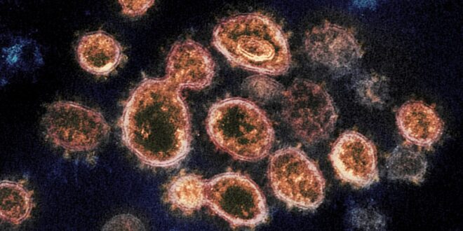 MT registra 1.109 novos casos de Covid-19 e 43 mortes nas últimas 24 horas