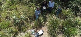 Especialistas vão a campo coletar amostras para detectar qualidade da pastagem em Alta Floresta, Paranaíta e demais municípios do Portal da Amazônia