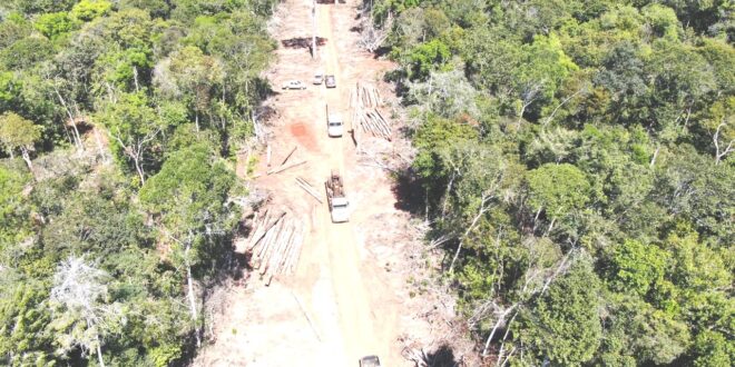 Operação bloqueia madeireiras envolvidas em crimes ambientais contra unidade de conservação no norte de MT