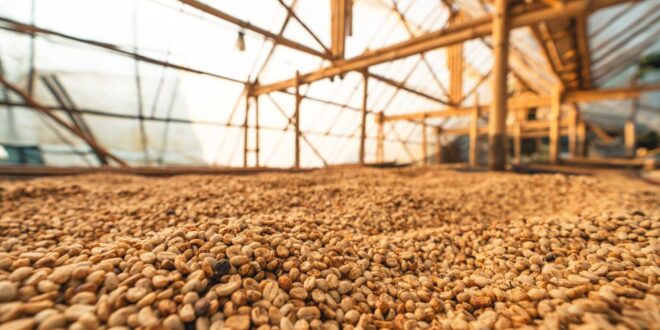 Programa de armazenagem mostra viabilidade para produtores que têm mais de 350 hectares de grãos