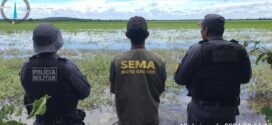 Sema e Sesp apreendem 3,9 toneladas de pescado e aplicam R$ 3,5 milhões em multas no período de defeso da piracema