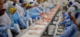 Exportação de carne suína e aves dispara em MT, mas carne bovina tem retração