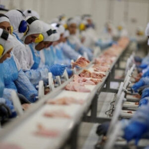 Exportação de carne suína e aves dispara em MT, mas carne bovina tem retração