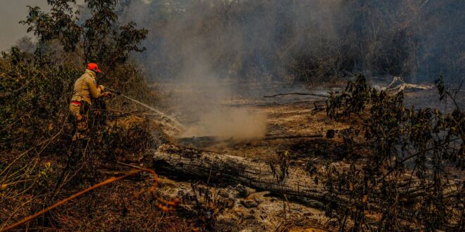 Incêndios e seca na Amazônia e no Pantanal batem marcas históricas