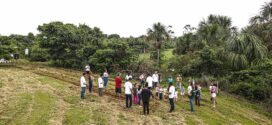 Restaurakids: Uma estratégia de educação ambiental para crianças