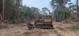 Sema apreende trator e madeira durante ação da Operação Amazônia em Alta Floresta