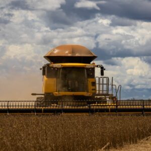 Abertura Nacional da Colheita da Soja será realizada nesta sexta-feira em Mato Grosso