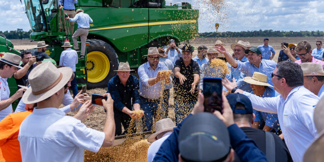 Abertura nacional da colheita da safra 24/25 destaca a produção sustentável de soja