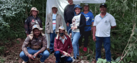 Alta Floresta participa de capacitação regional para fortalecimento do combate à malária