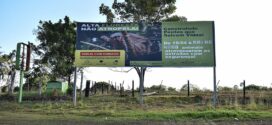 Painel do Programa “Alta Floresta Não Atropela” é atualizado e contabiliza quase 3 mil travessias de primatas