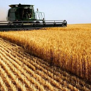 Agronegócio teme perda de safras e apoia negociação do governo com EUA