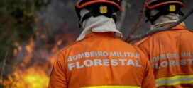 Uso do fogo no Cerrado e na Amazônia está proibido a partir desta terça-feira (1º) em MT