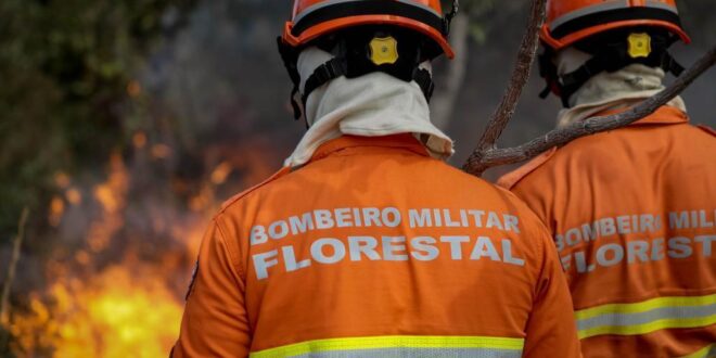 Uso do fogo no Cerrado e na Amazônia está proibido a partir desta terça-feira (1º) em MT