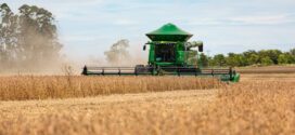 Mato Grosso consolida protagonismo na produção mundial de grãos e fibras
