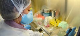 Pesquisa de vacina contra zika avança em testes com camundongos
