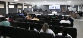 Câmara de Alta Floresta aprova requerimento cobrando informações sobre revitalização da Feira Livre Odílio Oliveira de Paula