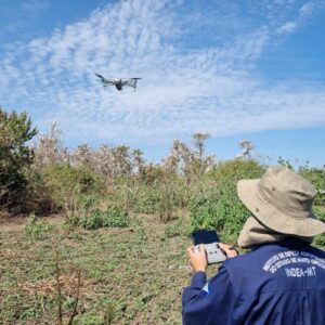 Descarte irregular de lixo volta a ocorrer em Alta Floresta após mutirão que retirou 29 toneladas