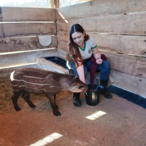 Seis frigoríficos de Mato Grosso são habilitados a exportar carne bovina para a Indonésia