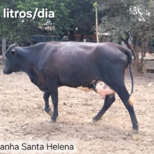 Semana municipal de trânsito começa em Alta Floresta com ações de conscientização