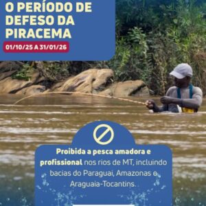 Seduc divulga resultado preliminar das inscrições para recursos de creches em 91 municípios