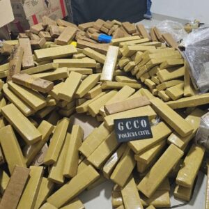 Apreensões de drogas em 2025 geram prejuízo de R$ 574 milhões às facções criminosas