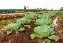 “Investimento demonstra prioridade em um setor que é absolutamente estratégico para o Estado”, afirma governador