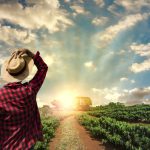 Conflito no Oriente Médio pressiona seguro rural no Brasil