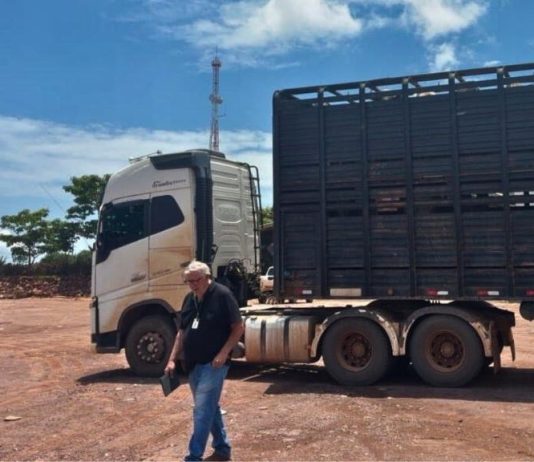 Fiscalização flagra motorista com Guia de Trânsito Animal (GTA) falsa