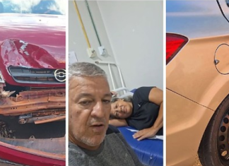 QUE SUSTO: Aranha sofre acidente em Três Lagoas MS, sem maiores complicações