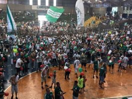 Americana terá evento para assistir ao Palmeiras na final da Copa Libertadores