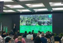 Modelo implementado em MT para garantir produção regular de madeira nativa é referência em nível nacional