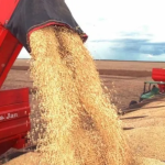 Dívidas com bancos levam empresa do agro a pedir recuperação judicial