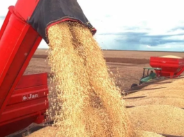 Safra brasileira de 2026 deve cair e clima preocupa setor