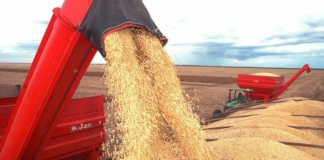 Safra brasileira de 2026 deve cair e clima preocupa setor