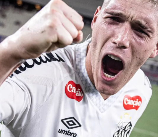 Brasileirão 2025 define classificados às competições continentais e times rebaixados