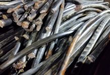Suspeito de furtar fios é identificado e preso em Paranaíta