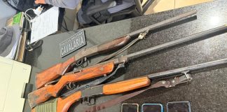 Polícia Civil mira facção criminosa e cumpre mais de 80 mandados em Sinop e região