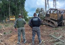 Colniza: PM apreende máquinas usadas em extração ilegal de madeira
