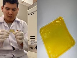 Com apoio da Fapemat, pesquisa da UFMT desenvolve embalagem biodegradável a partir de óleo de pequi