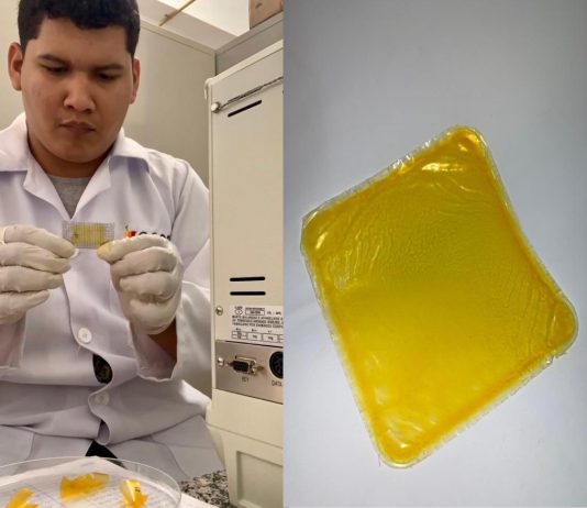Com apoio da Fapemat, pesquisa da UFMT desenvolve embalagem biodegradável a partir de óleo de pequi