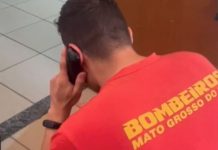 Bombeiros registram resgates de animais em Alta Floresta