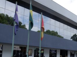Câmara recebe processo das Contas Anuais de Governo de 2024 da Prefeitura de Alta Floresta