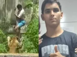 Homem morto por leoa após invadir jaula em João Pessoa tinha 10 prisões anteriores