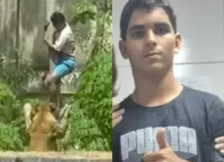 Homem morto por leoa após invadir jaula em João Pessoa tinha 10 prisões anteriores